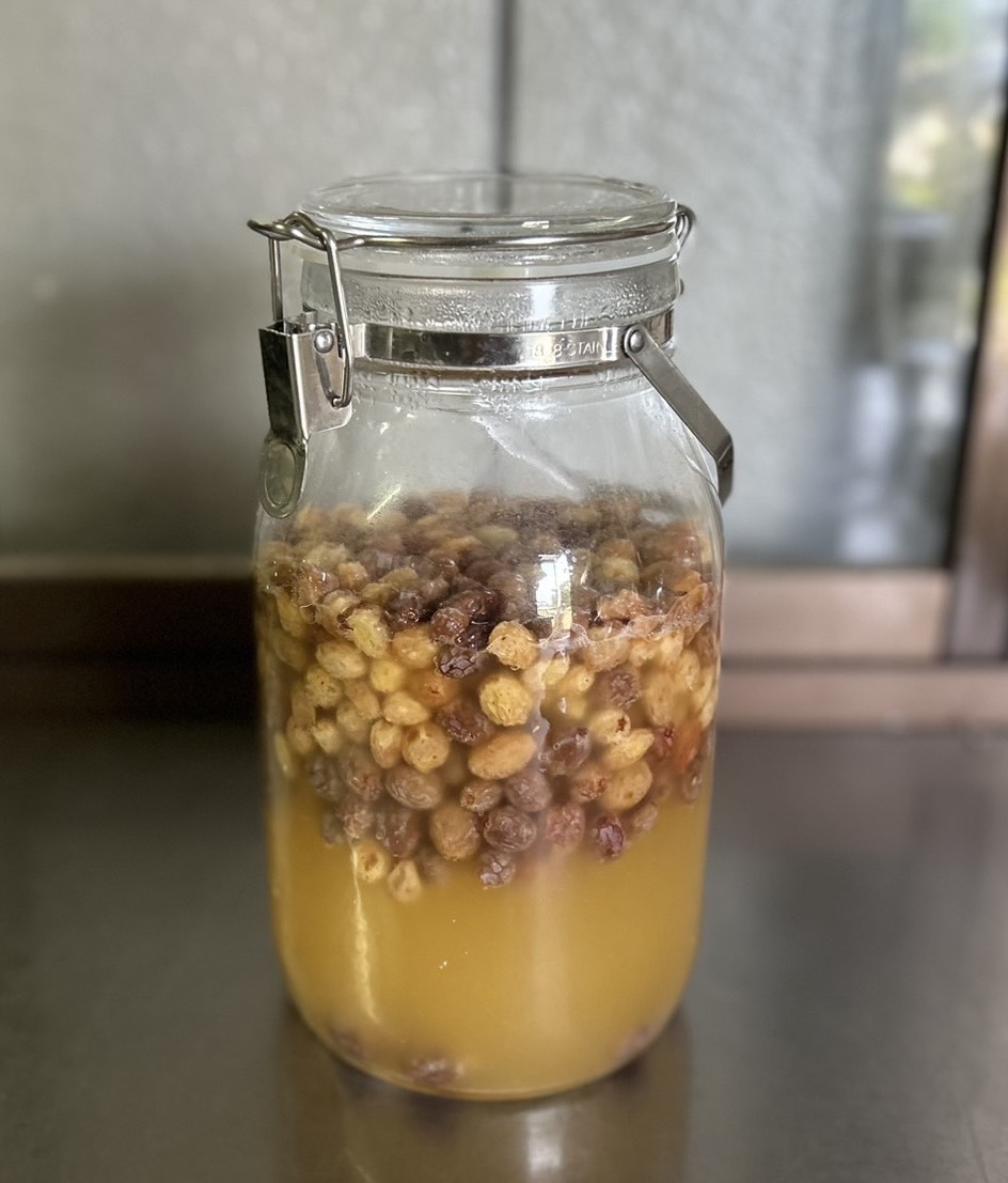 ガラス瓶の中で育てているぶどうの自家製酵母